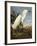 Snowy Heron or White Egret / Snowy Egret (Egretta Thula), Plate CCKLII, from 'The Birds of America'-John James Audubon-Framed Giclee Print