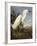 Snowy Heron or White Egret / Snowy Egret (Egretta Thula), Plate CCKLII, from 'The Birds of America'-John James Audubon-Framed Giclee Print