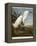 Snowy Heron or White Egret / Snowy Egret-John James Audubon-Framed Premier Image Canvas