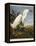 Snowy Heron or White Egret / Snowy Egret-John James Audubon-Framed Premier Image Canvas