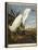 Snowy Heron or White Egret / Snowy Egret-John James Audubon-Framed Premier Image Canvas