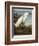 Snowy Heron or White Egret / Snowy Egret-John James Audubon-Framed Premium Giclee Print