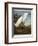 Snowy Heron or White Egret / Snowy Egret-John James Audubon-Framed Premium Giclee Print