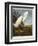 Snowy Heron or White Egret / Snowy Egret-John James Audubon-Framed Premium Giclee Print