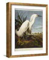 Snowy Heron or White Egret / Snowy Egret-John James Audubon-Framed Giclee Print