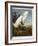 Snowy Heron or White Egret / Snowy Egret-John James Audubon-Framed Giclee Print