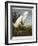 Snowy Heron or White Egret / Snowy Egret-John James Audubon-Framed Giclee Print