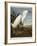 Snowy Heron or White Egret / Snowy Egret-John James Audubon-Framed Giclee Print