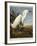 Snowy Heron or White Egret / Snowy Egret-John James Audubon-Framed Giclee Print
