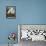 Snowy Heron or White Egret / Snowy Egret-John James Audubon-Framed Premier Image Canvas displayed on a wall