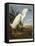 Snowy Heron or White Egret / Snowy Egret-John James Audubon-Framed Premier Image Canvas