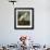 Snowy Heron or White Egret-John James Audubon-Framed Giclee Print displayed on a wall