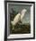 Snowy Heron or White Egret-John James Audubon-Framed Giclee Print