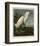 Snowy Heron or White Egret-John James Audubon-Framed Art Print