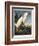 Snowy Heron or White Egret-Porter Design-Framed Giclee Print