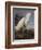 Snowy Heron Or White Egret-John James Audubon-Framed Art Print