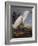 Snowy Heron Or White Egret-John James Audubon-Framed Art Print