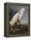 Snowy Heron Or White Egret-John James Audubon-Framed Stretched Canvas