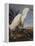 Snowy Heron Or White Egret-John James Audubon-Framed Stretched Canvas
