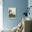 Snowy Heron-John James Audubon-Premium Giclee Print displayed on a wall