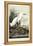 Snowy Heron-John James Audubon-Framed Stretched Canvas