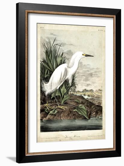 Snowy Heron-John James Audubon-Framed Premium Giclee Print