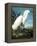 Snowy Heron-John James Audubon-Framed Premier Image Canvas