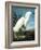 Snowy Heron-John James Audubon-Framed Giclee Print