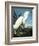 Snowy Heron-John James Audubon-Framed Giclee Print