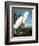 Snowy Heron-John James Audubon-Framed Giclee Print