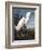 Snowy Heron-John James Audubon-Framed Photographic Print