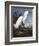 Snowy Heron-John James Audubon-Framed Photographic Print