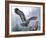 Snowy Landing-Russell Cobane-Framed Giclee Print