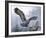 Snowy Landing-Russell Cobane-Framed Giclee Print