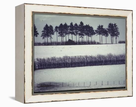 Snowy Landscape Frames Single American Tank Moving Along Distant Road During Battle of the Bulge-George Silk-Framed Premier Image Canvas