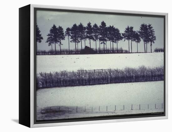 Snowy Landscape Frames Single American Tank Moving Along Distant Road During Battle of the Bulge-George Silk-Framed Premier Image Canvas
