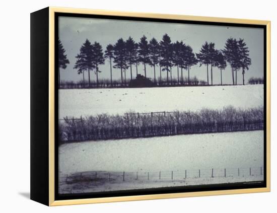 Snowy Landscape Frames Single American Tank Moving Along Distant Road During Battle of the Bulge-George Silk-Framed Premier Image Canvas