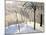 Snowy Landscape in Bois De Boulogne; Paysage De Neige Au Bois De Boulogne, 1905-Felix Edouard Vallotton-Mounted Giclee Print