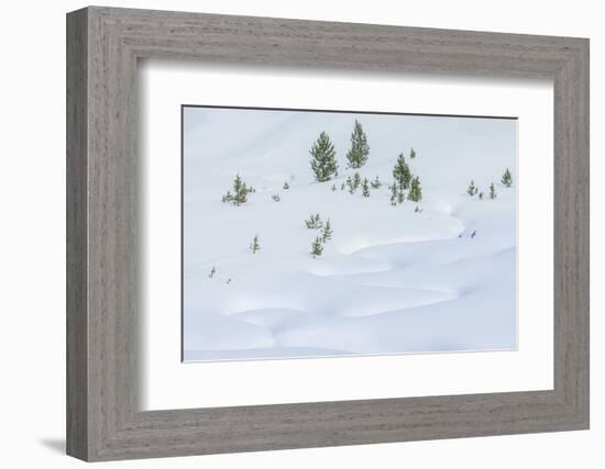 Snowy Landscape-Rob Tilley-Framed Photographic Print