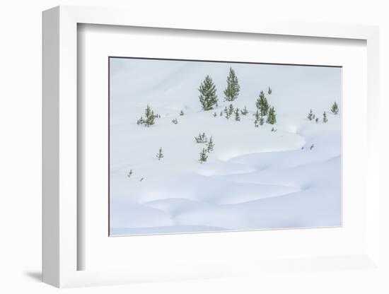 Snowy Landscape-Rob Tilley-Framed Photographic Print