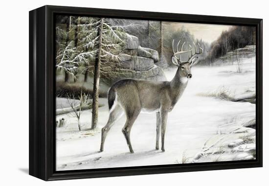 Snowy Mornings-Ruane Manning-Framed Stretched Canvas