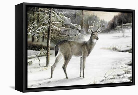 Snowy Mornings-Ruane Manning-Framed Stretched Canvas