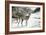 Snowy Mornings-Ruane Manning-Framed Art Print