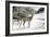 Snowy Mornings-Ruane Manning-Framed Art Print