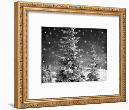 Snowy Night-Marcus Prime-Framed Photographic Print