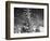 Snowy Night-Marcus Prime-Framed Photographic Print