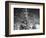 Snowy Night-Marcus Prime-Framed Photographic Print