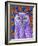 Snowy Owl, 2013 (Oil on Canvas)-Jane Tattersfield-Framed Giclee Print