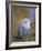 Snowy Owl, Alaska, USA-David Tipling-Framed Photographic Print