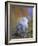 Snowy Owl, Alaska, USA-David Tipling-Framed Photographic Print